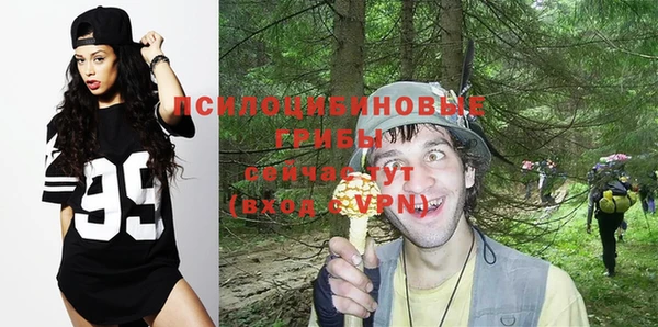 альфа пвп Богданович