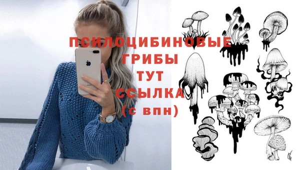 а пвп мука Богородицк