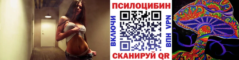 магазин продажи наркотиков Нижний Новгород Галлюциногенные грибы мицелий